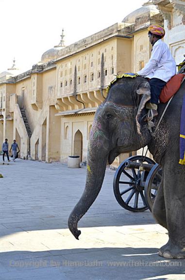 04 Fort_Amber_and Elephants,_Jaipur_DSC5059_b_H600